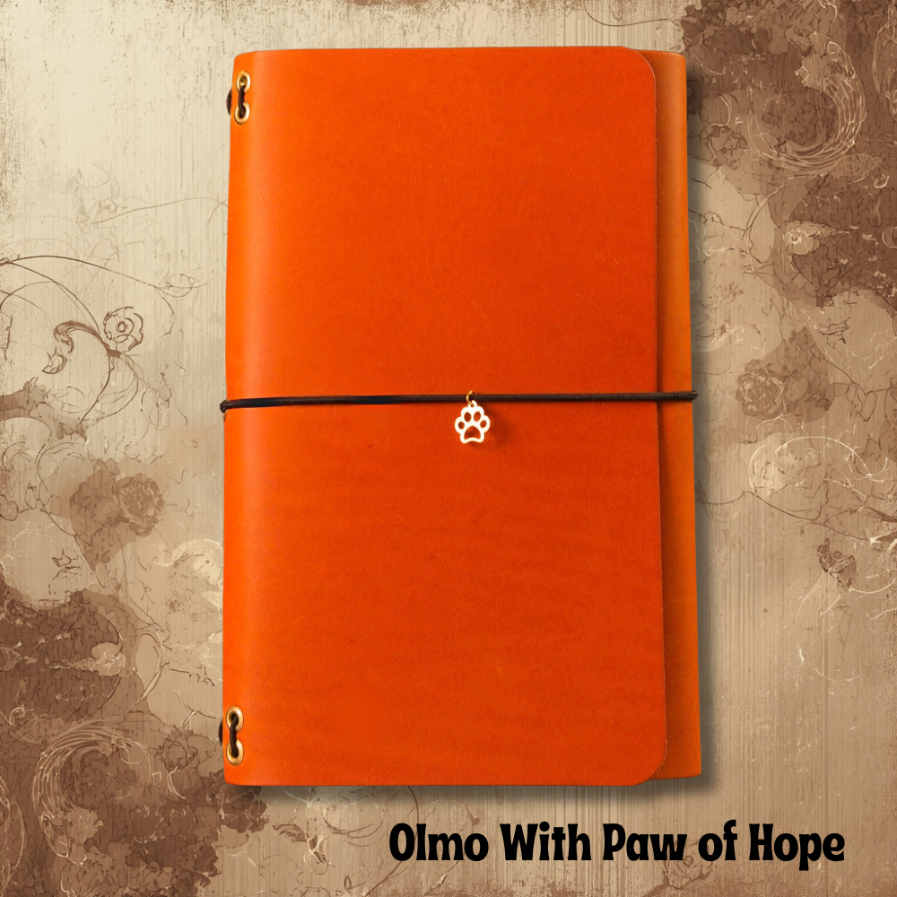 Companion Trifold Travel Notebook (A5)